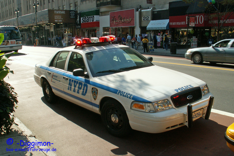 Fustw New York